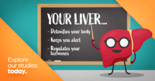 Your liver detoxifies your body, keeps you alert, and regulates your hormones