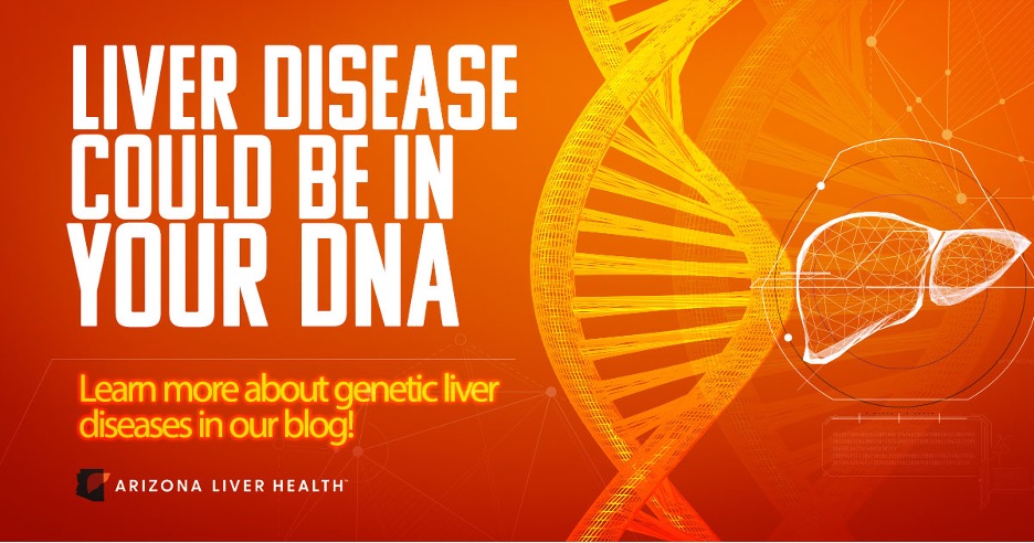 Liver Disease could be in your DNA. Learn more about genetic liver diseases in our blog.